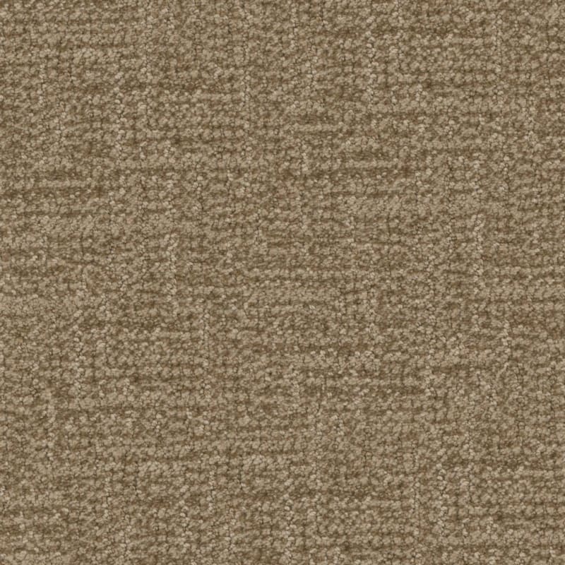 Prestigious carpet by Masland