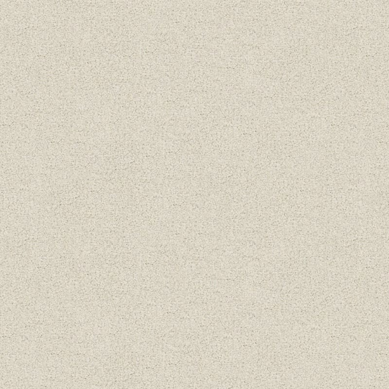 Tracker carpet by Masland