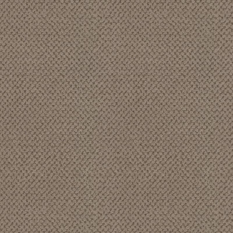 La Parade carpet by Masland