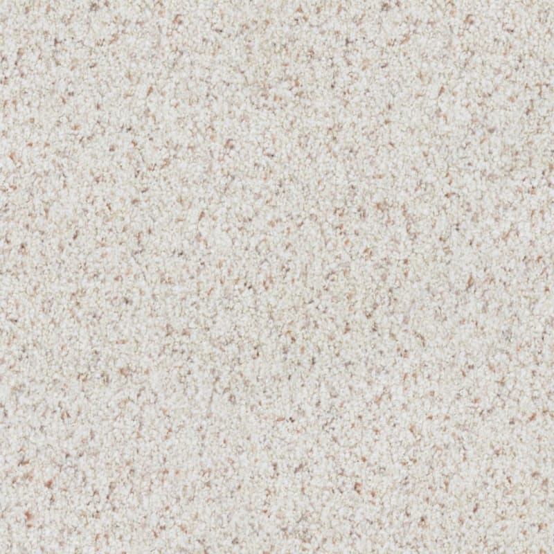 St. Augustine carpet by Masland