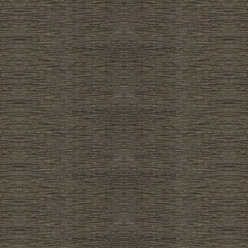 Vivacity carpet by Masland