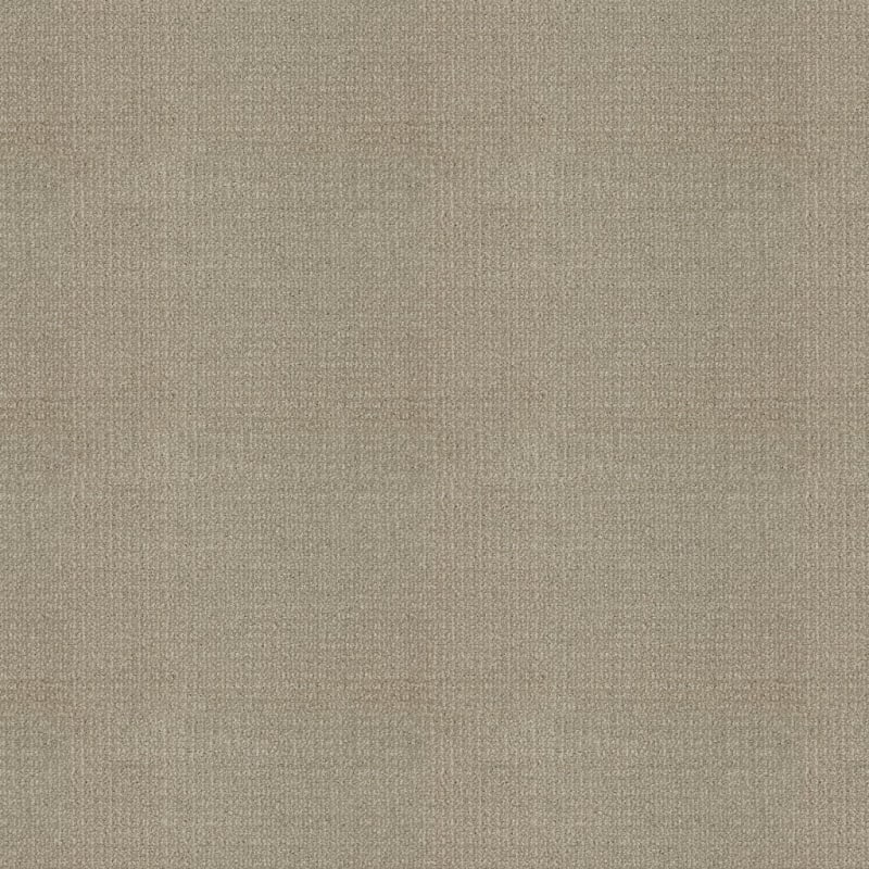 Grand Champion carpet by Masland
