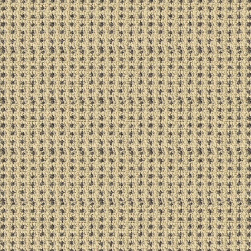 Tresor II carpet by Masland