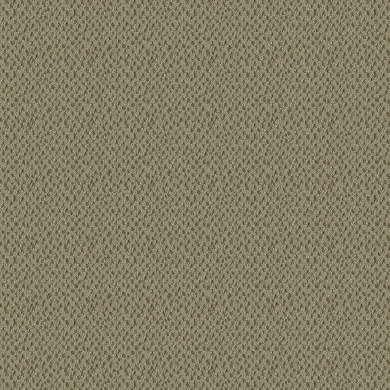 Seurat carpet by Masland