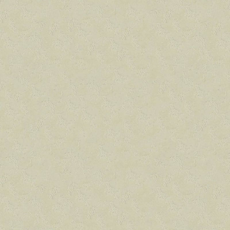 True Luxury carpet by Masland