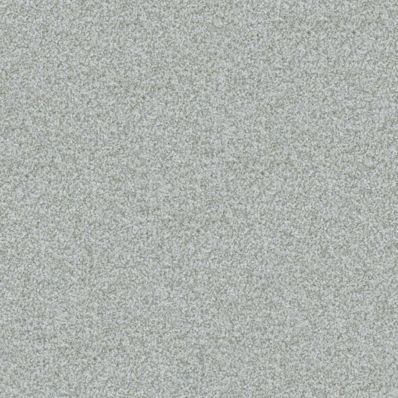 Boca Raton carpet by Masland