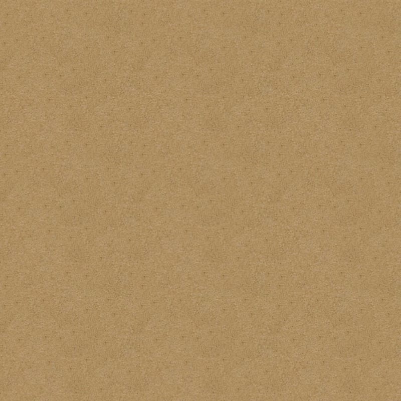 Embrace carpet by Masland