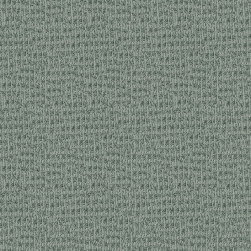 Hudson Valley carpet by Masland