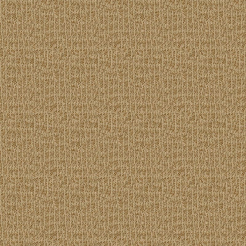 Hudson Valley carpet by Masland