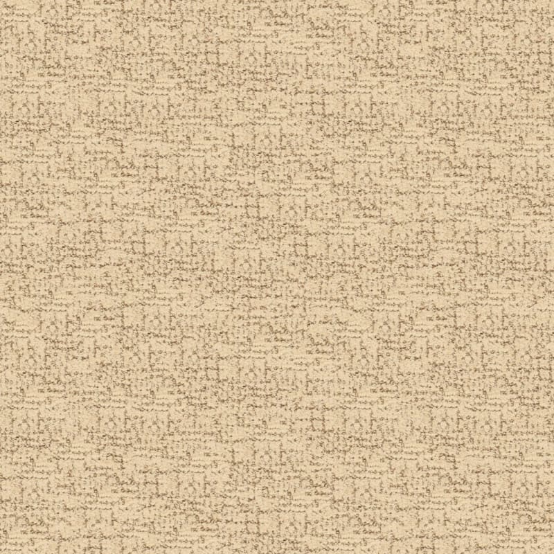 Dorado carpet by Masland