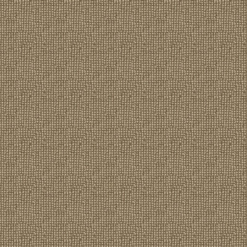 Alpha carpet by Masland