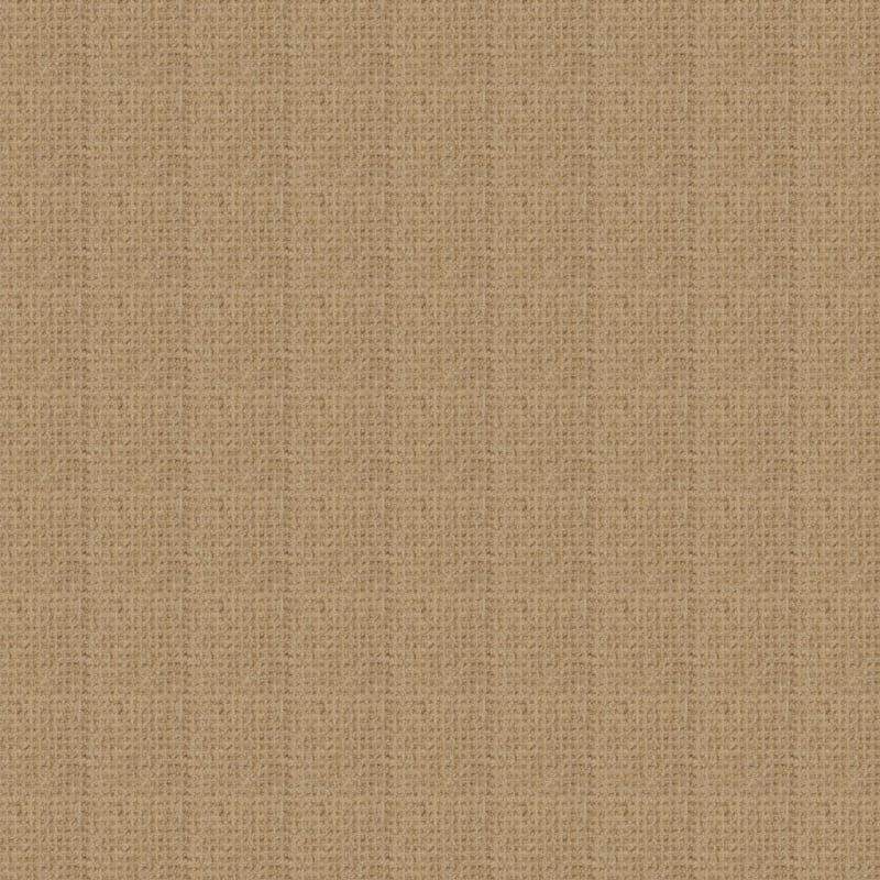 Etchings carpet by Masland