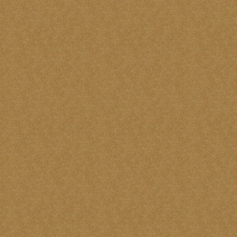 Embrace carpet by Masland