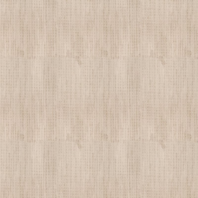 Imagine carpet by Masland