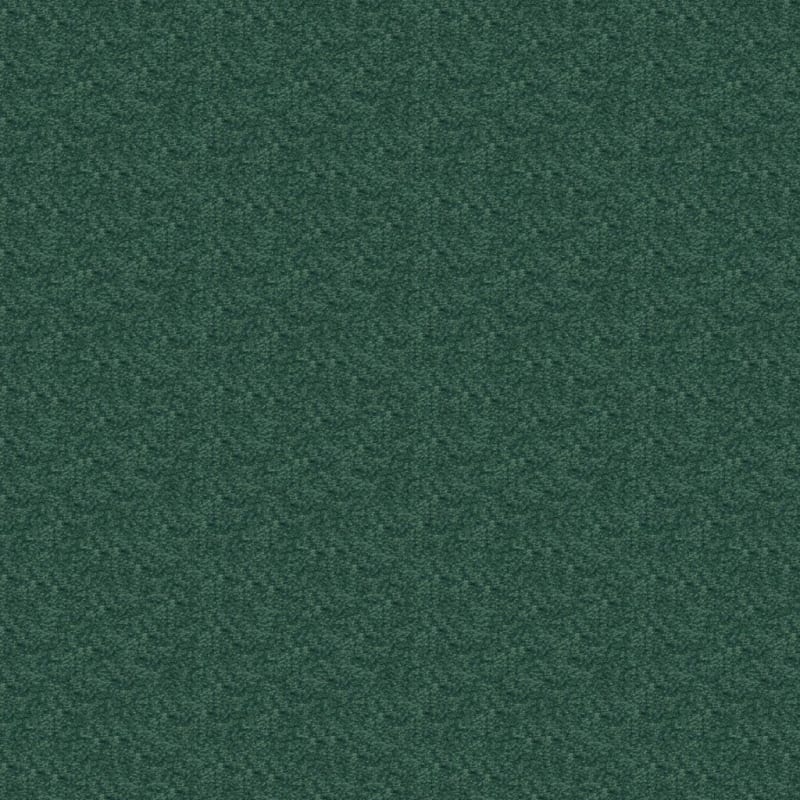 Patriot carpet by Masland