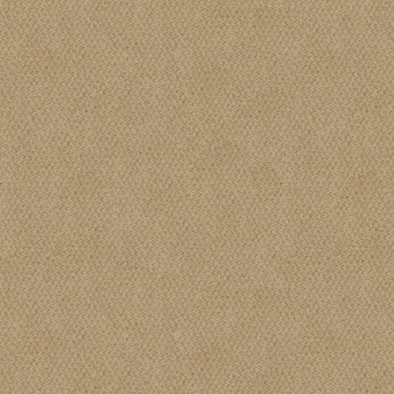 New Hope carpet by Masland