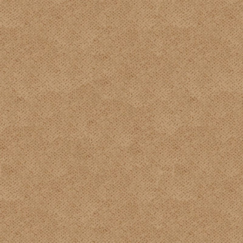 Montauk carpet by Masland