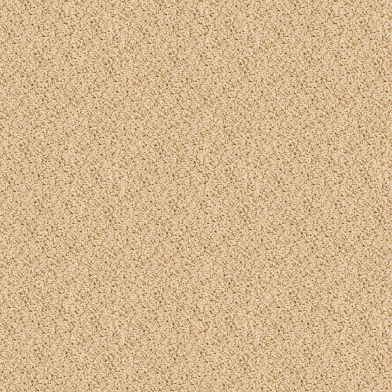 Shangri-La carpet by Masland