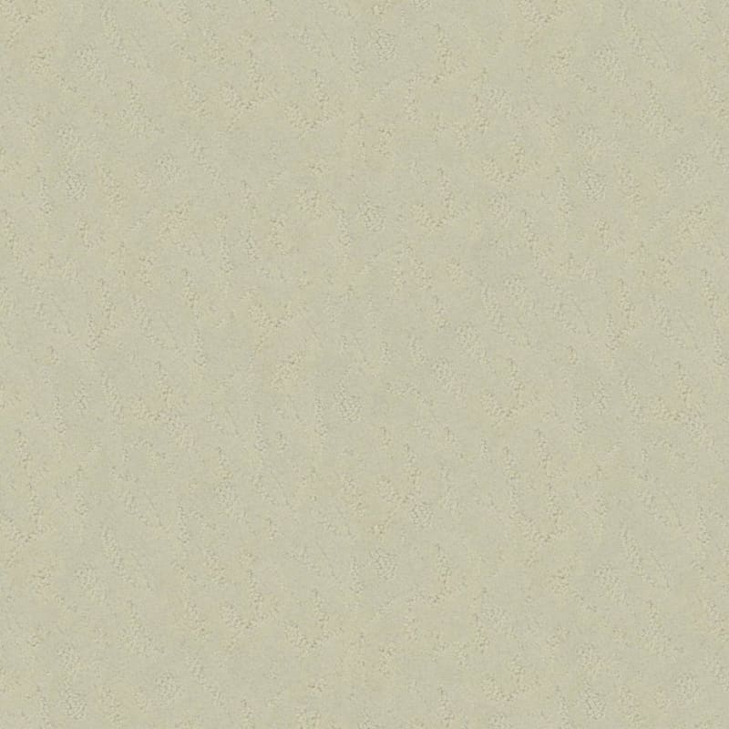 True Luxury carpet by Masland