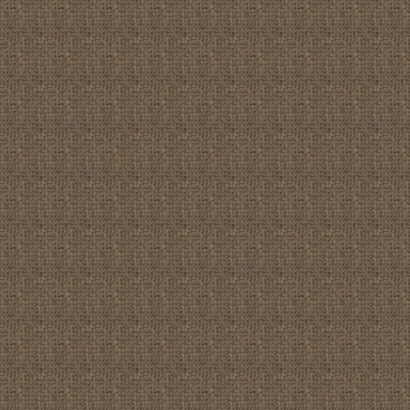 Etchings carpet by Masland