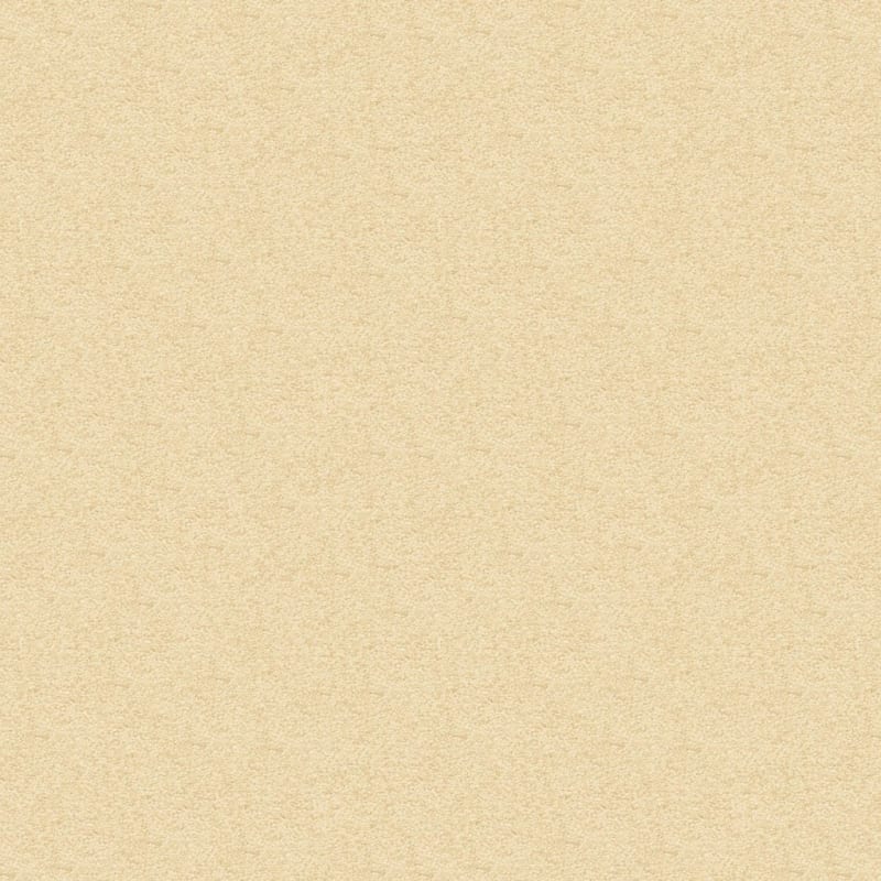Vero Beach carpet by Masland