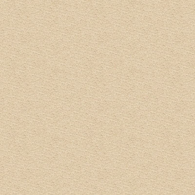 Ravishing carpet by Masland