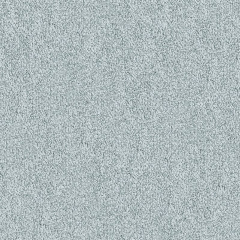 Buena Vida carpet by Masland