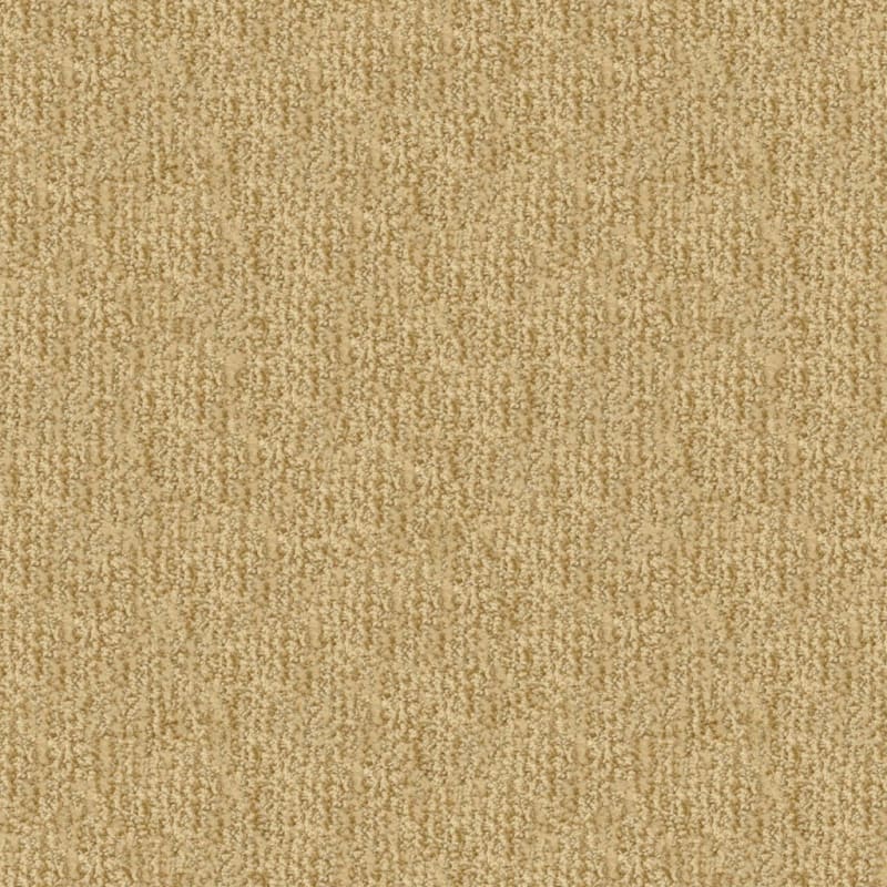 Mesa Verde carpet by Masland