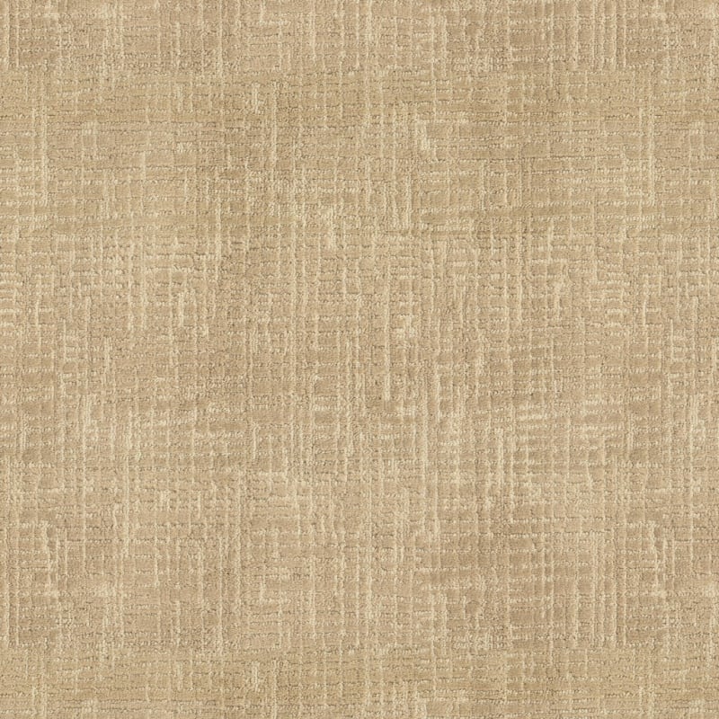 Ventura carpet by Masland