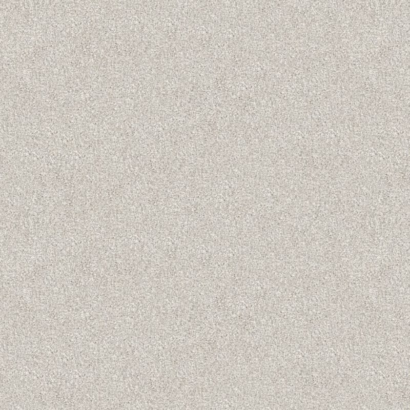 Tracker carpet by Masland