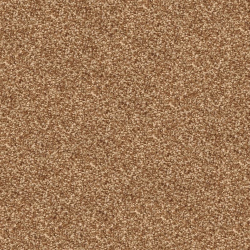 Beacon Hill carpet by Masland