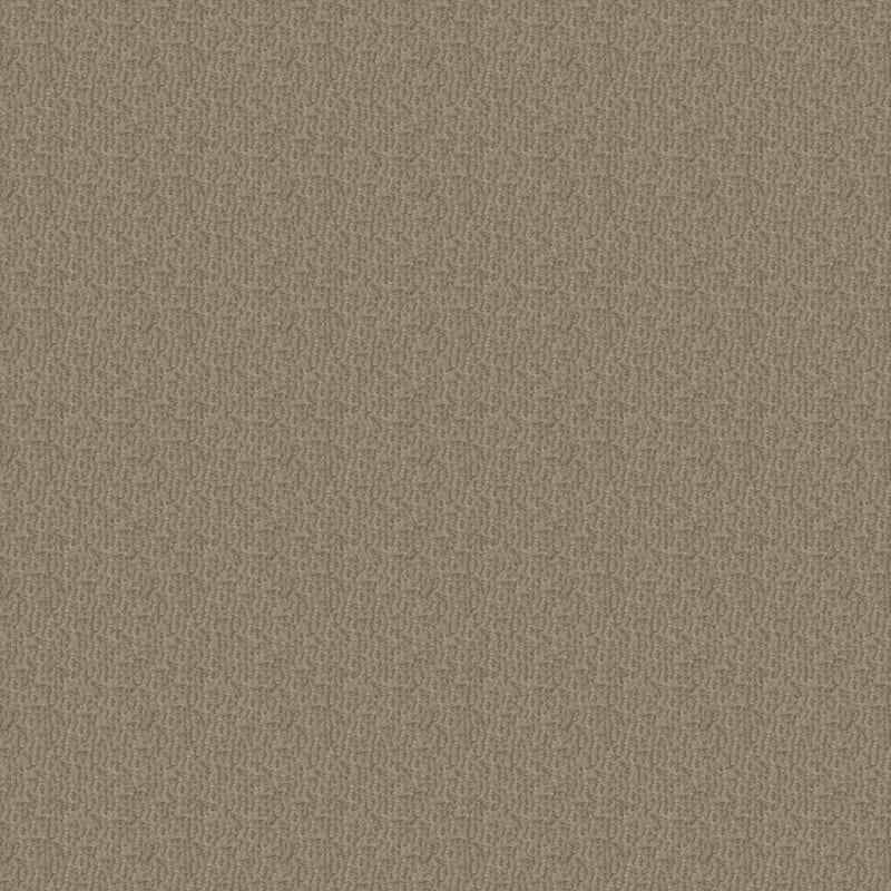 Pinehurst carpet by Masland