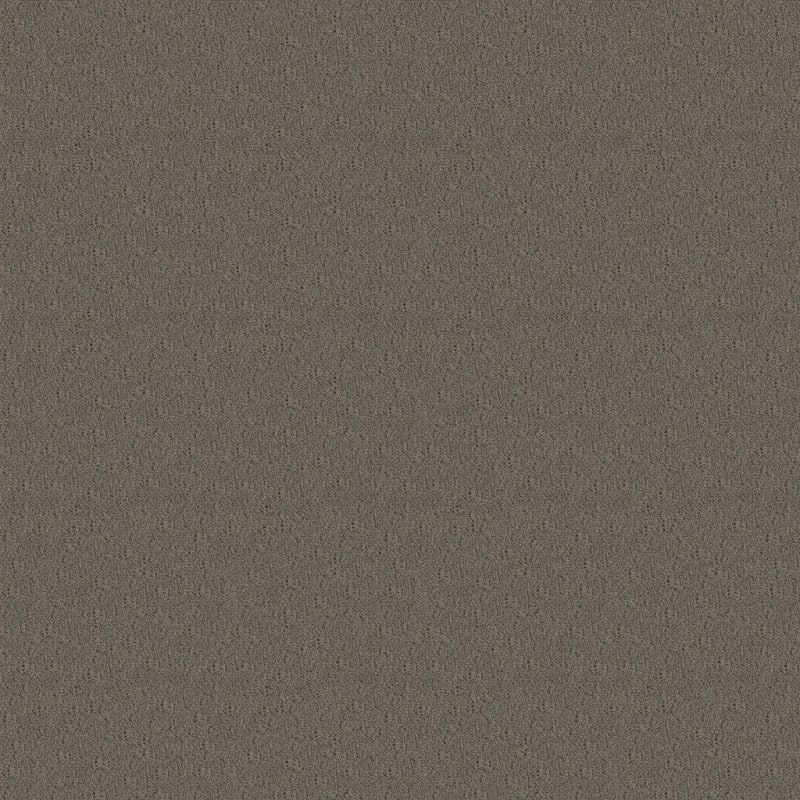 Panache carpet by Masland