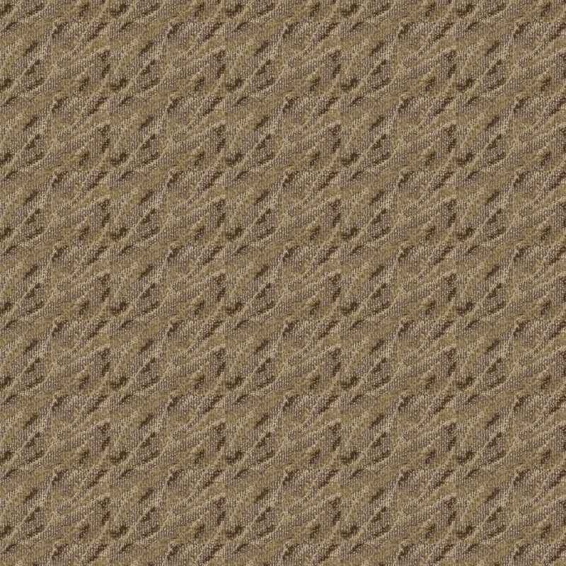 Gamma carpet by Masland