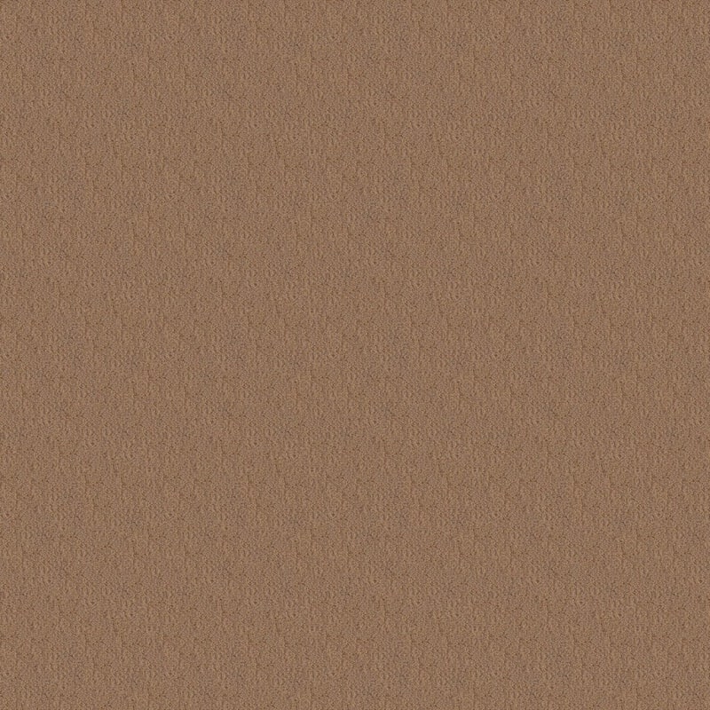 Panache carpet by Masland