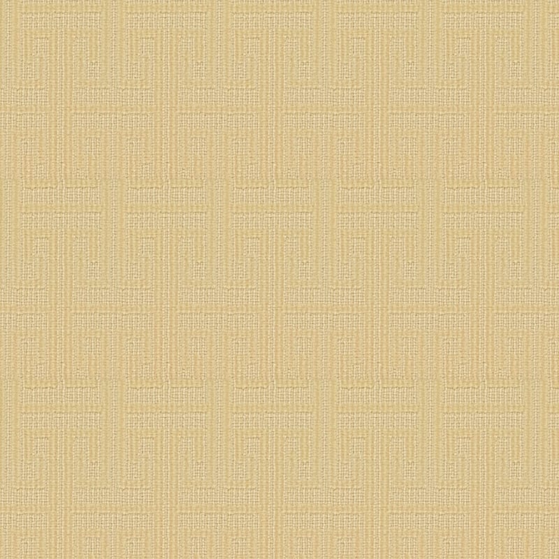Meandros carpet by Masland