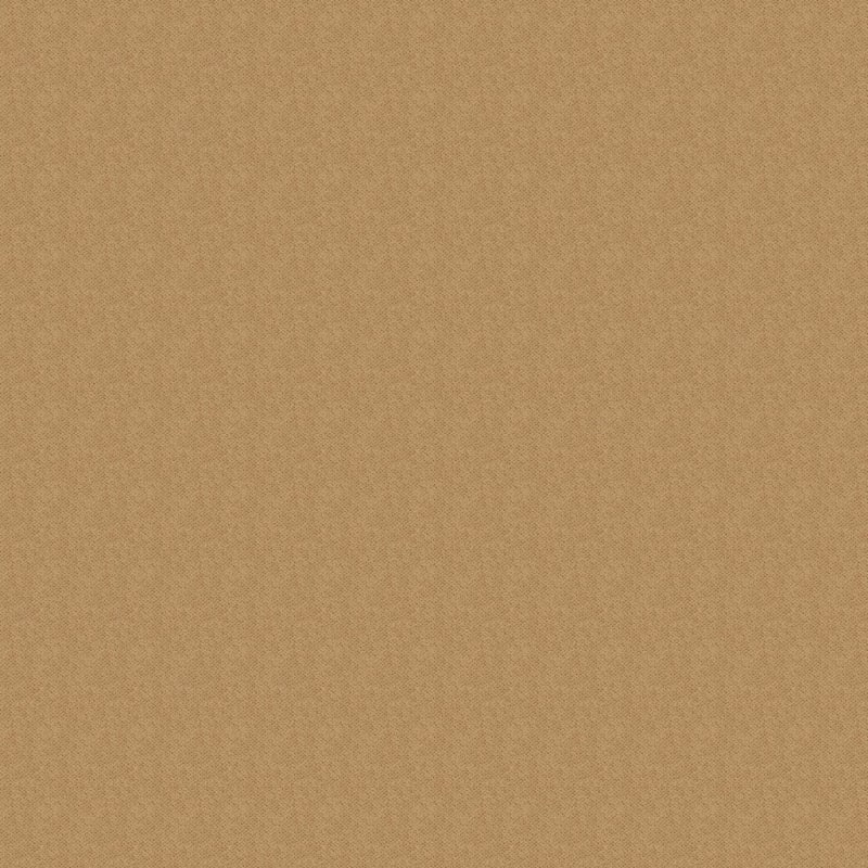 Montauk carpet by Masland