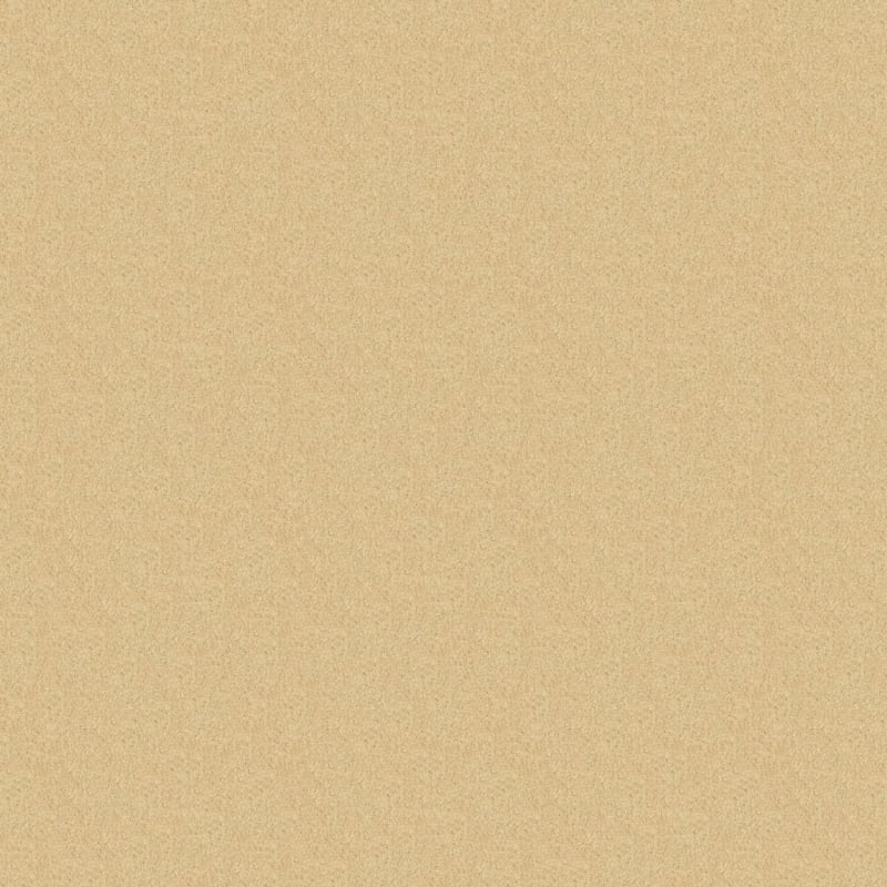 Miami carpet by Masland