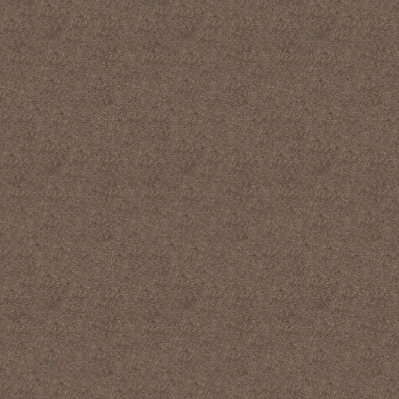 Embrace carpet by Masland