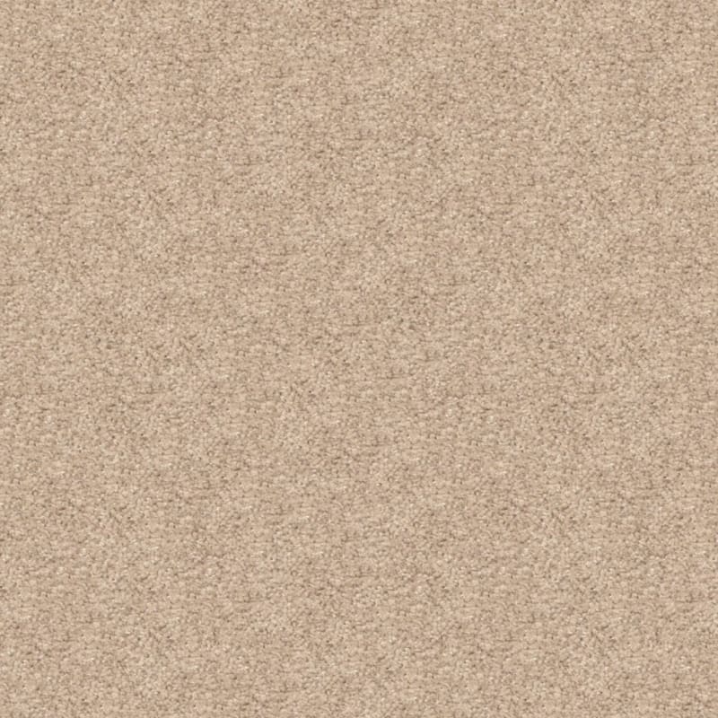 Opalesque carpet by Masland