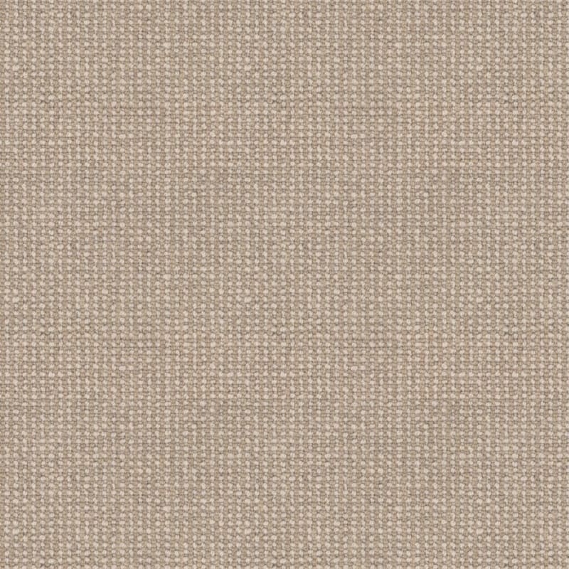 Andros carpet by Masland
