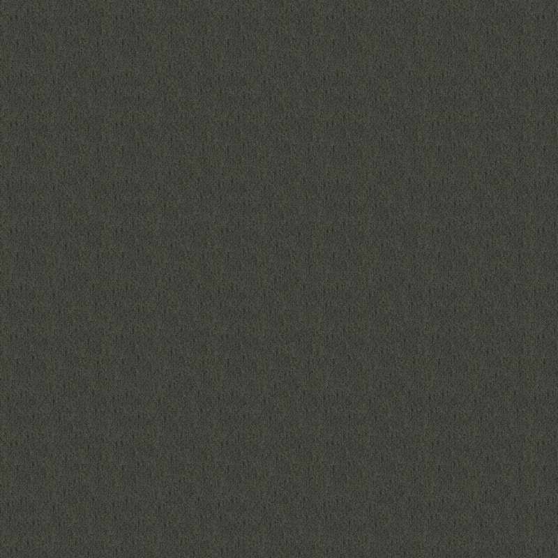 Panache carpet by Masland