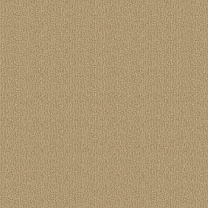 Pinehurst carpet by Masland