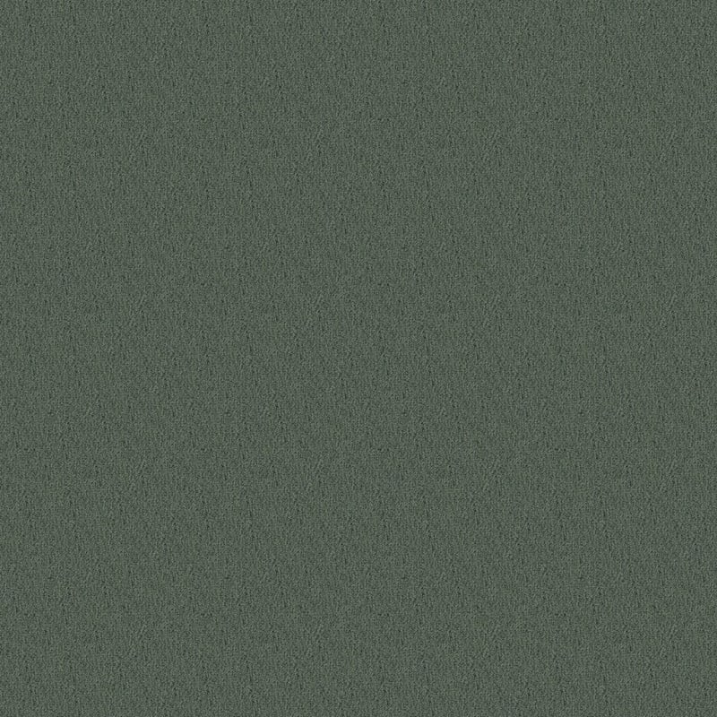 Panache carpet by Masland