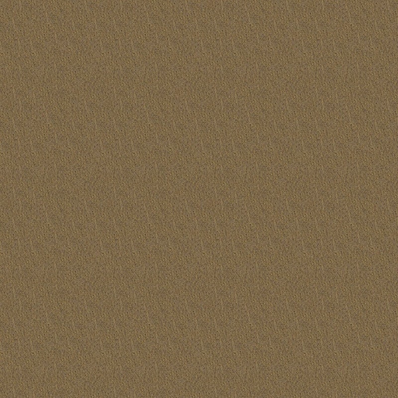 Panache carpet by Masland