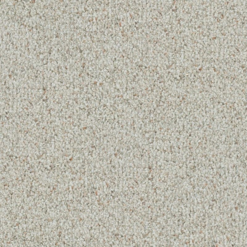 St. Augustine carpet by Masland
