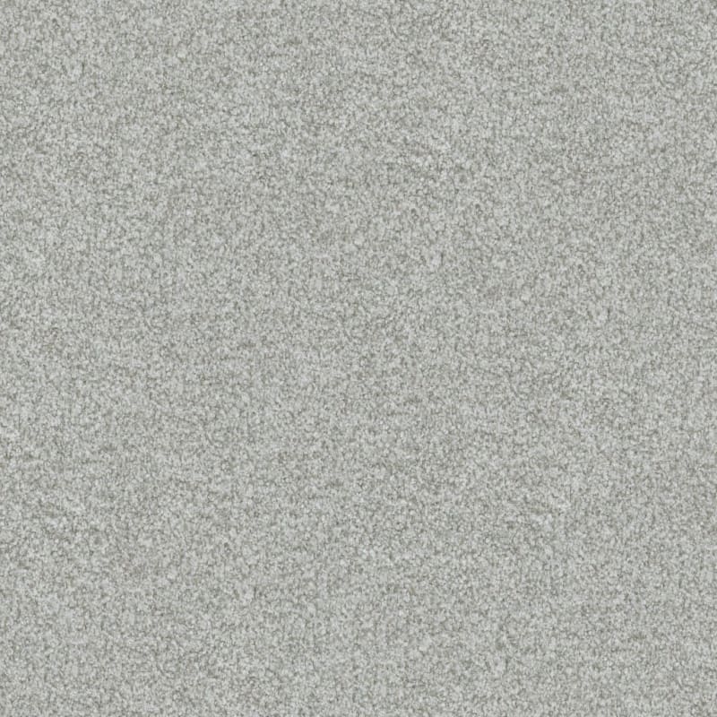 Boca Raton carpet by Masland