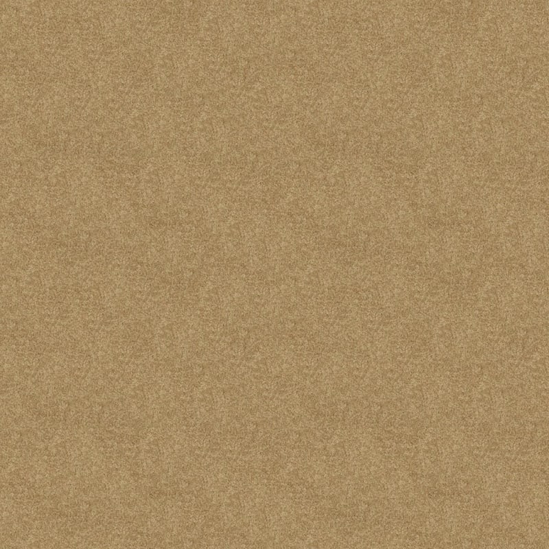 Harbor Town carpet by Masland