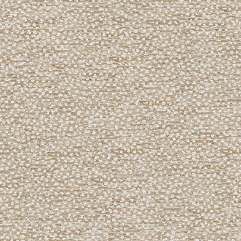 Jag carpet by Masland