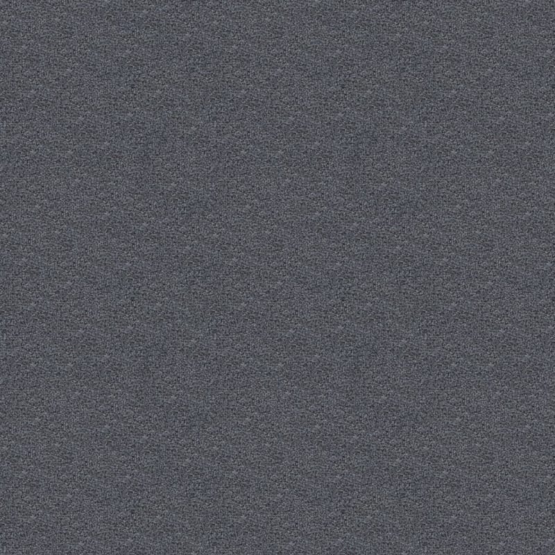Delray carpet by Masland